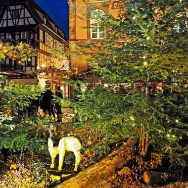 Tourisme Obernai