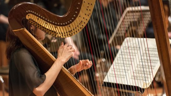 Contemporary music for harps