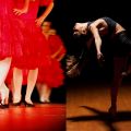 Journée de la Danse