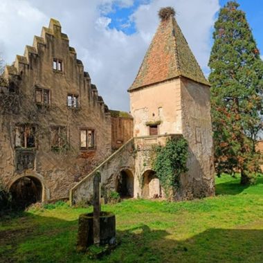 Tous aux châteaux on May 1st - Domaine du château de Niedernai