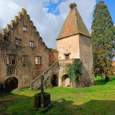 Tous aux châteaux le 1er mai - Domaine du château de Niedernai