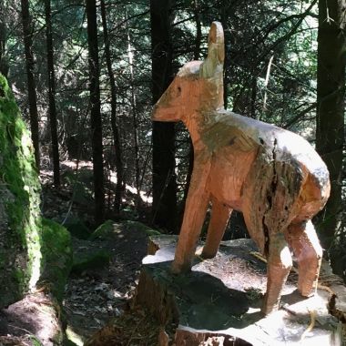 Club Vosgien - Tour and detours on Mont Sainte-Odile