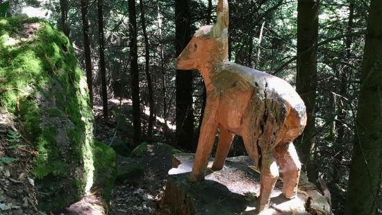 Club Vosgien - Wanderung Tours et détours au Mont Sainte-Odile