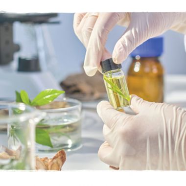 Conférence - Se soigner par les plantes - Une introduction à l'herboristerie