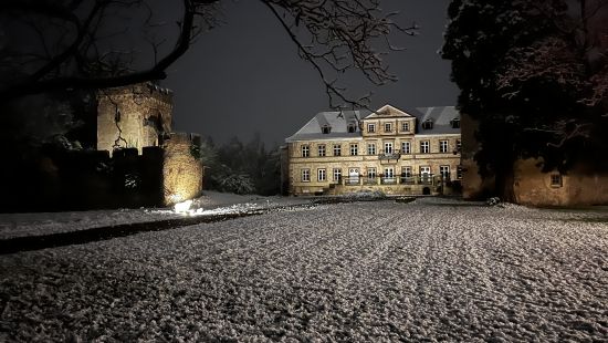 Château de Niedernai