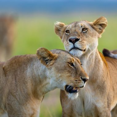 Rencontre et dédicace avec le photographe Alexandre Bès