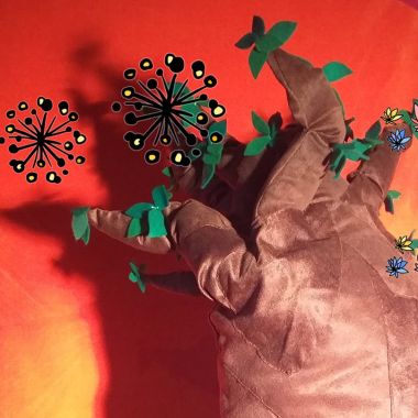 Spectacle - La toute petite graine du baobab