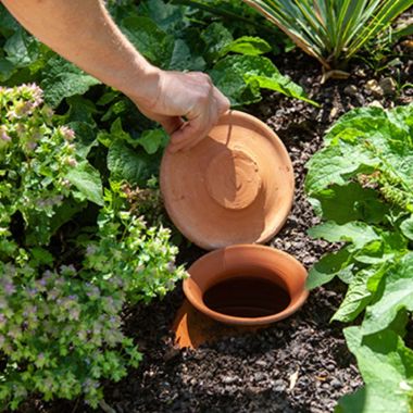 Nature workshop- Save water in the garden and hydrate your houseplants in summer