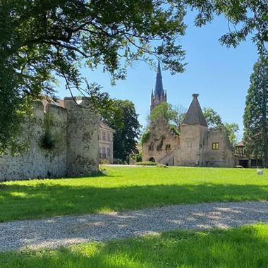 Das Schloss Niedernai - Weinprobe und Führung