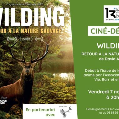 Ciné-Débat - Wilding - retour à la nature sauvage