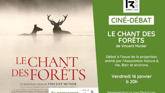 Film und Debatte - Le Chant des forêts von Vincent Munier