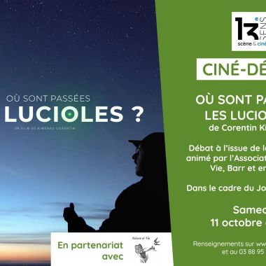 Ciné-Débat - Où sont passées les lucioles ?