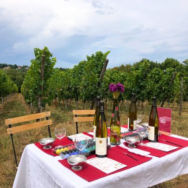 Atelier peinture sur bouteille dans les vignes
