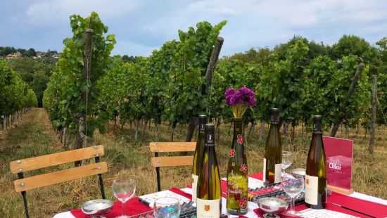 Atelier peinture sur bouteille dans les vignes