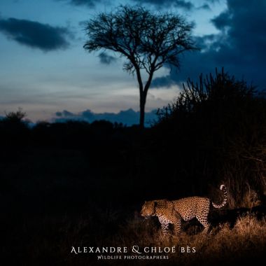 Exposition photos - Au coeur de l'Afrique - Alexandre et Chloé Bès