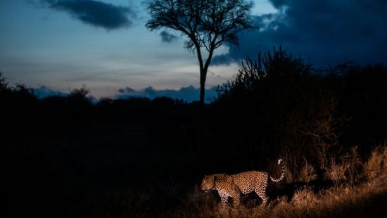 Exposition photos - Au coeur de l'Afrique - Alexandre et Chloé Bès