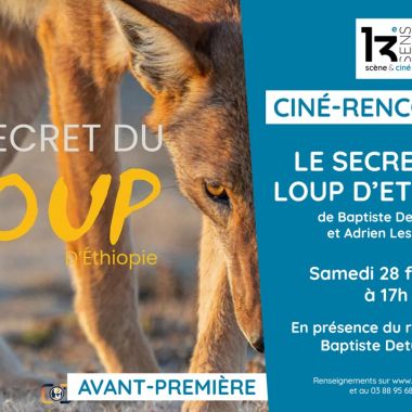Ciné-Rencontre - Le Secret du Loup d'Ethiopie