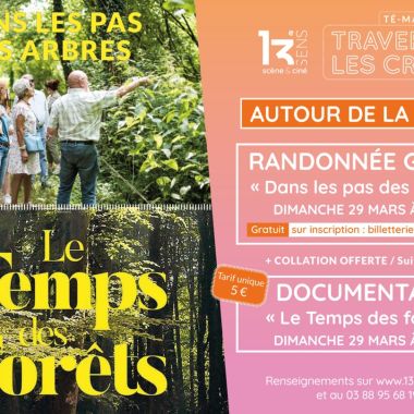 TÉ-MA - Autour de la forêt - Randonnée guidée et projection