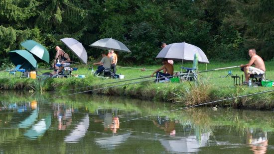 Concours de pêche à la truite