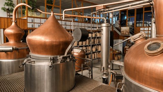 Découvrez les secrets de la Distillerie Lehmann