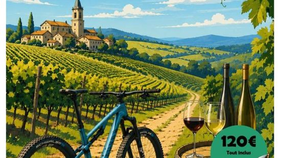Vignobles en scène Alsace - Des vélos et des quilles