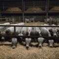 Comprendre l'agro-écologie