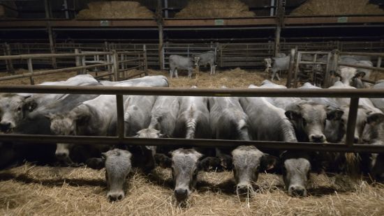 Comprendre l'agro-écologie