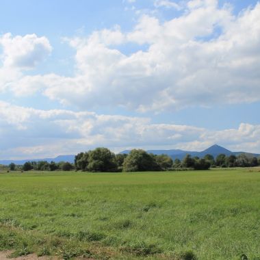 Ill*Wald, Naturschutzgebiet der Stadt Sélestat