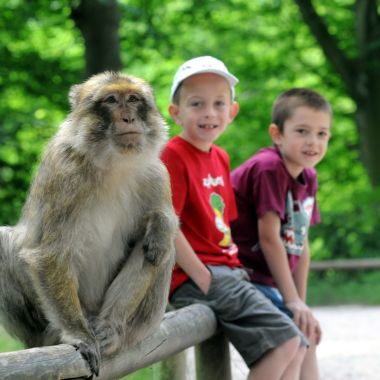 La Montagne des Singes