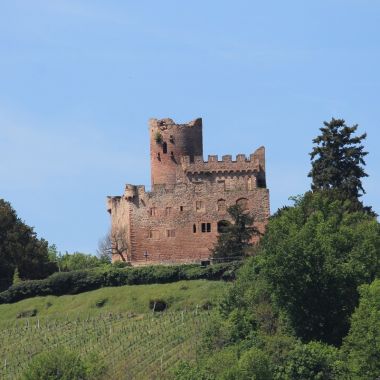 Château de Kintzheim