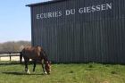 ©Écuries du Giessen