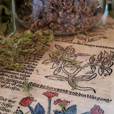 ©Ville de Sélestat