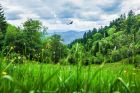 Alsace Parc Aventure Breitenbach