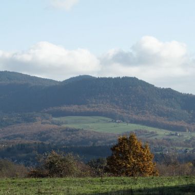 Office de Tourisme de la Vallée de Villé