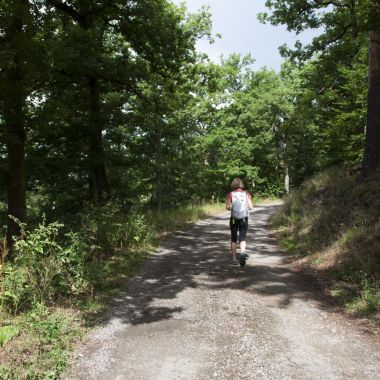 L'Office de la Vallée de Villé