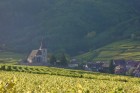 Église de Hunawihr au cœur des vignes
Crédit photo : Office de Tourisme du Pays de Ribeauvillé et Riquewihr