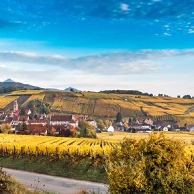 Office de tourisme Pays de Ribeauvillé et Riquewihr