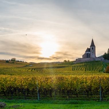 Office de tourisme Pays de Ribeauvillé et Riquewihr