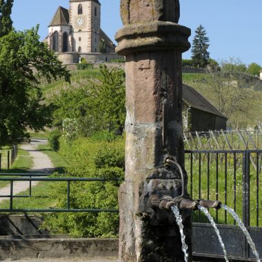 Hunawihr - Crédit photo : Christophe Dumoulin - Office de Tourisme du Pays de Ribeauvillé et Riquewihr