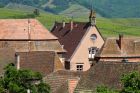 Crédit photo : Christophe Dumoulin - Office de Tourisme du Pays de Ribeauvillé et Riquewihr