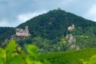 Ribeauvillé - Crédit photo : Christophe Dumoulin - Office de Tourisme du Pays de Ribeauvillé et Riquewihr