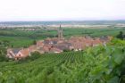 Rodern - crédit photo : Office de Tourisme du Pays de Ribeauvillé et Riquewihr