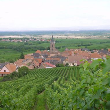 Rodern - crédit photo : Office de Tourisme du Pays de Ribeauvillé et Riquewihr