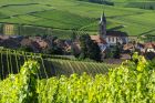 Rodern - Crédit photo : Christophe Dumoulin - Office de Tourisme du Pays de Ribeauvillé et Riquewihr