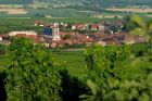 Saint-Hippolyte - Crédit photo : Christophe Dumoulin - Office de Tourisme du Pays de Ribeauvillé et Riquewihr