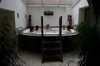 Vitispa