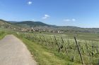 OT Vallée de Kaysersberg