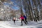 Hytte-KLIP.FR ADPSF-Haut-Rhin