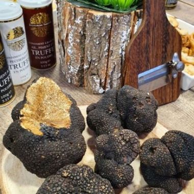 DR-Signorini Tartufi