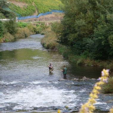 pêcheurs dans la Thur ©J-P Dumel